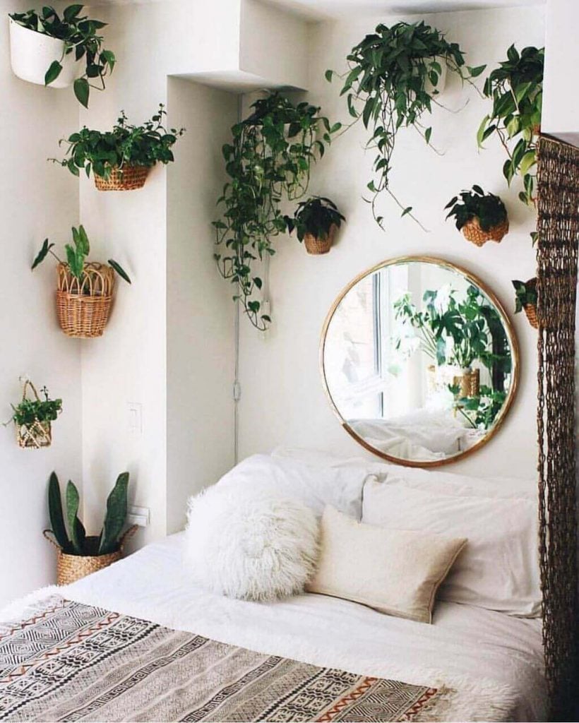 plants for wall decor