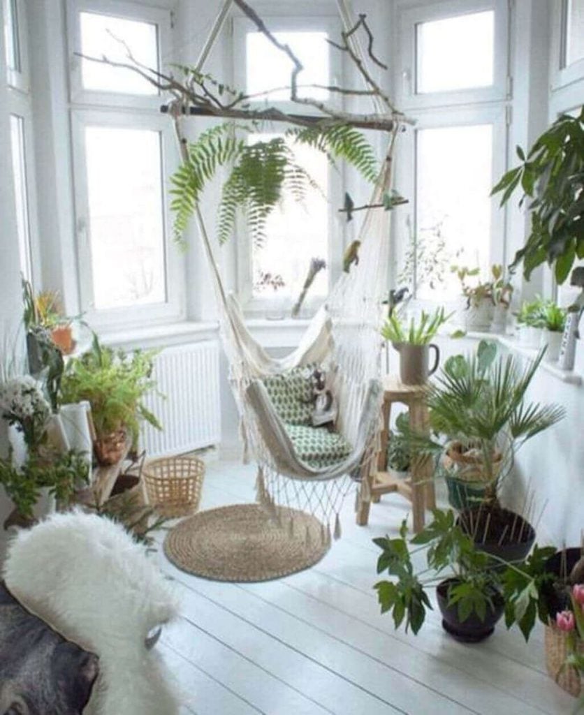 room decoration with plants