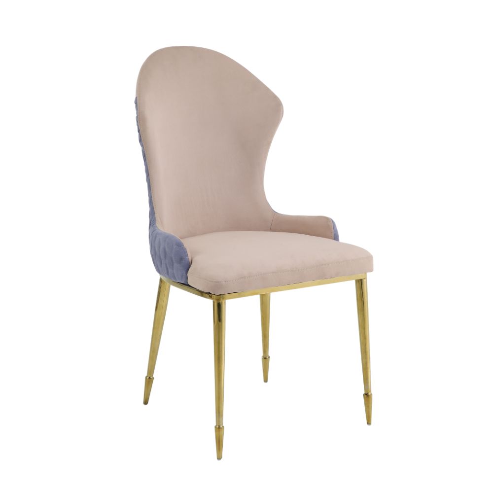 2 Acme Furniture Caolan Tan Lavender Gold Side Chairs