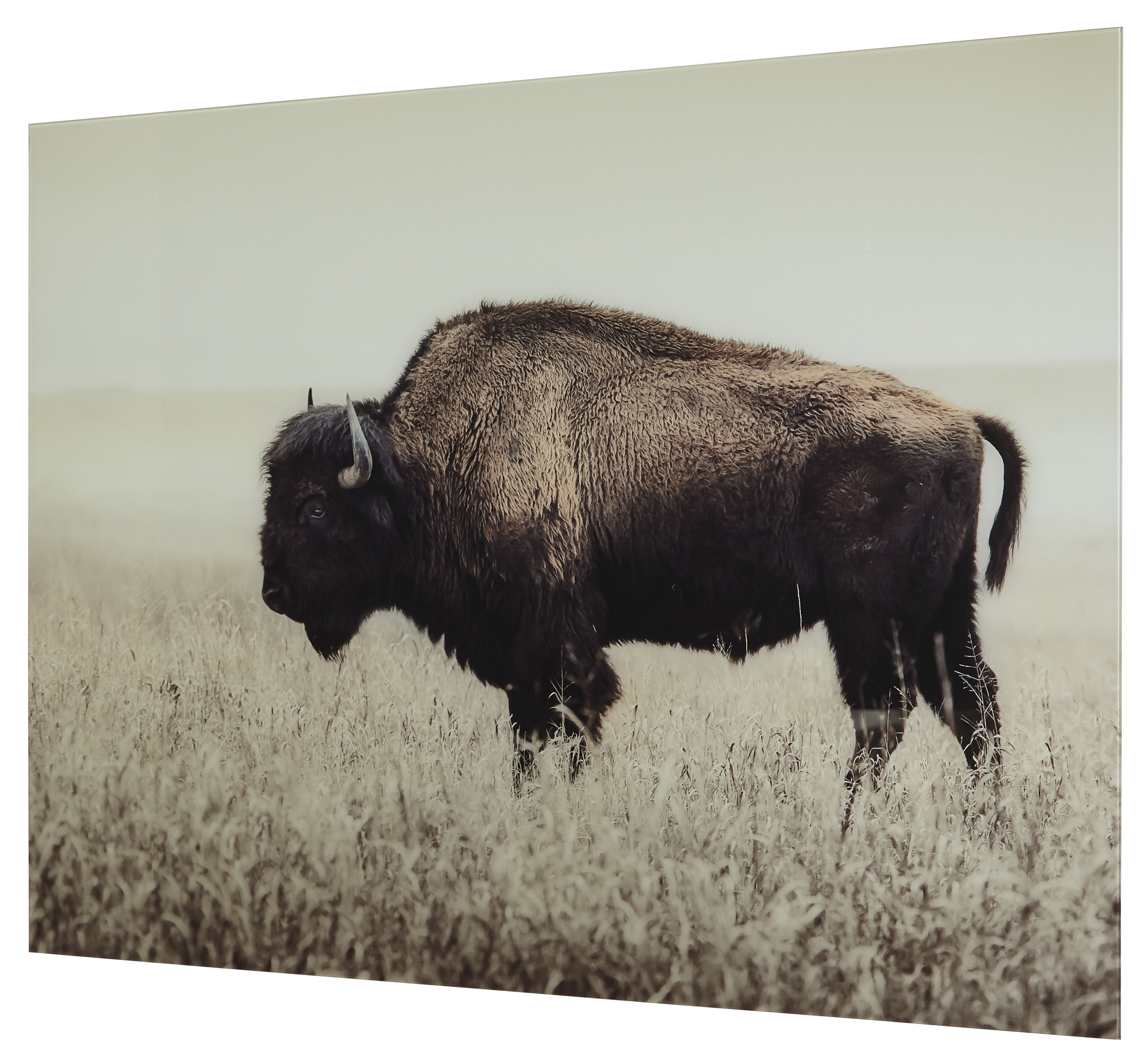 Ashley Furniture Brutus Sepia Wall Art