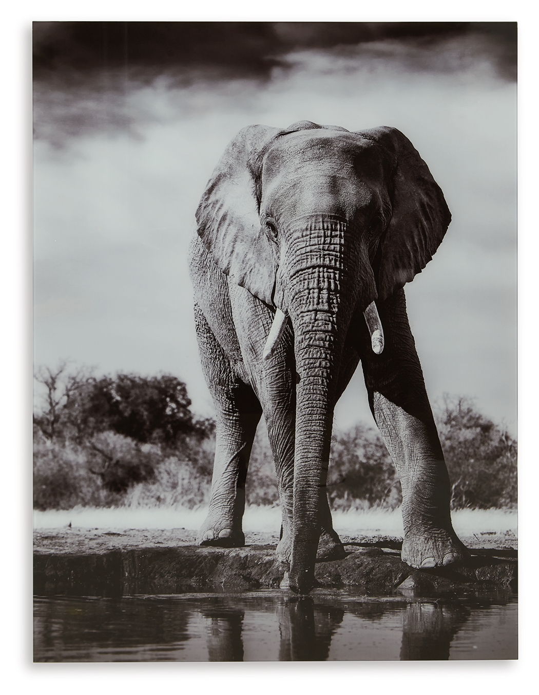 Ashley Furniture Glinyard Black White Wall Art