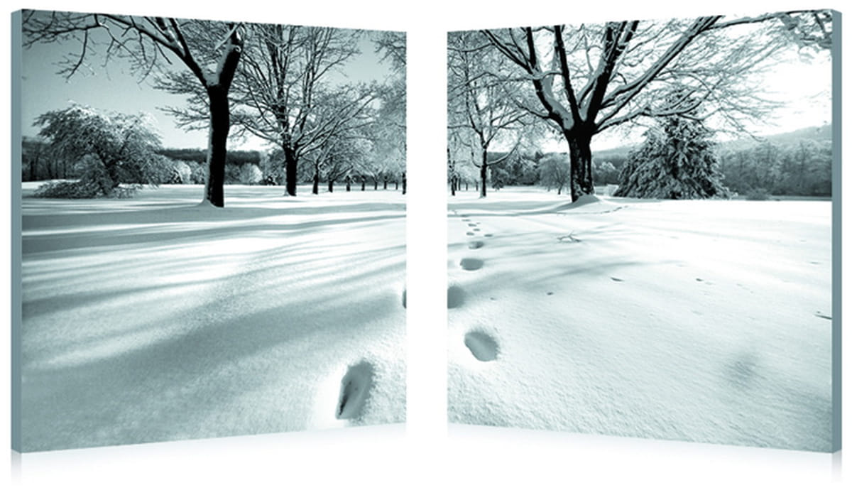 Baxton Studio Black White Telltale Trail Mounted Photography Print Diptych