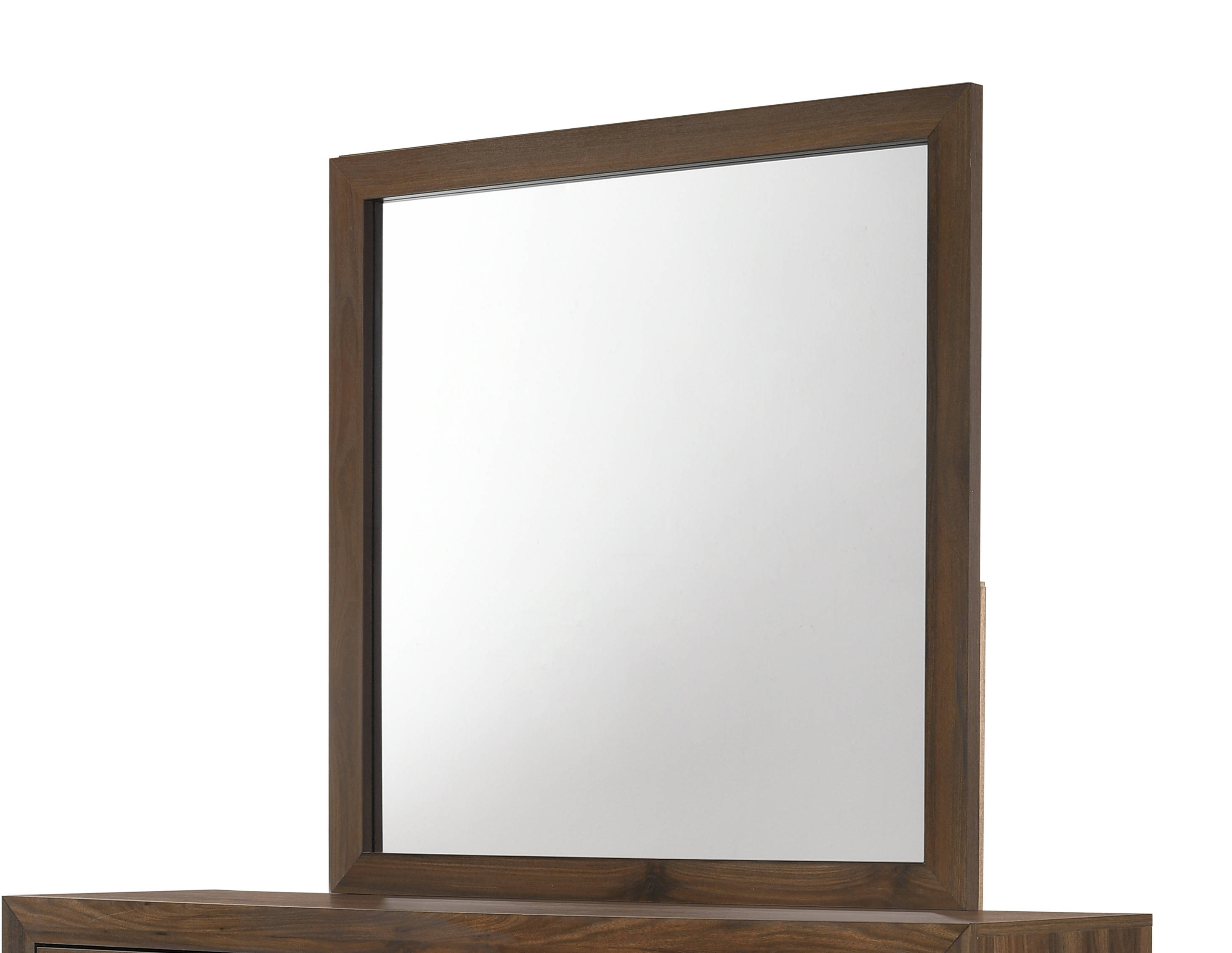 CRW-B9250-Mirror.jpg