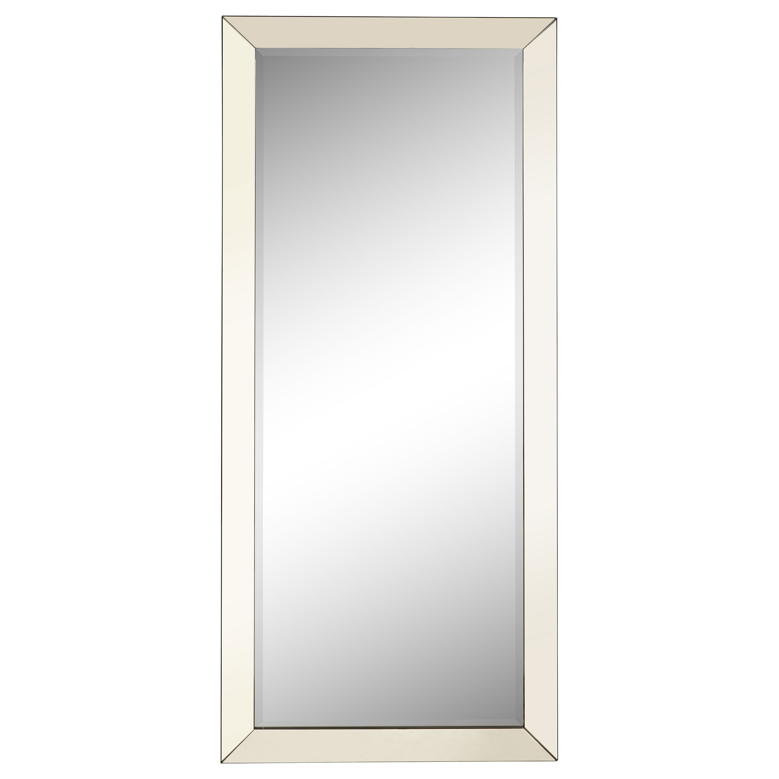 Coaster Furniture Barnett Silver Rectangular Floor Mirror