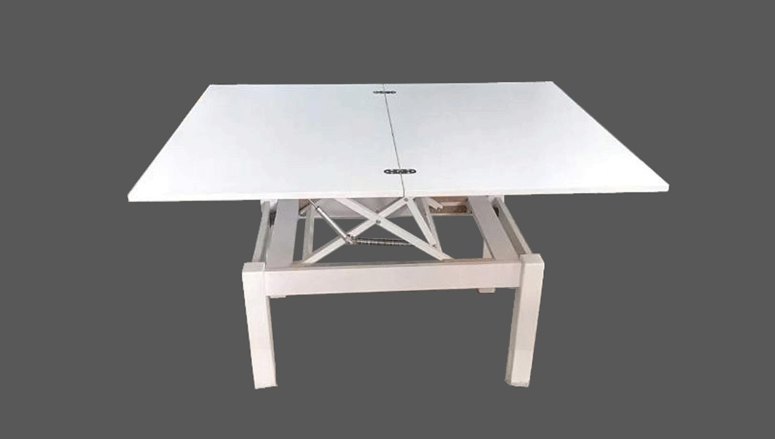 ESF-COSMOSTABLEWHITE-1.jpg