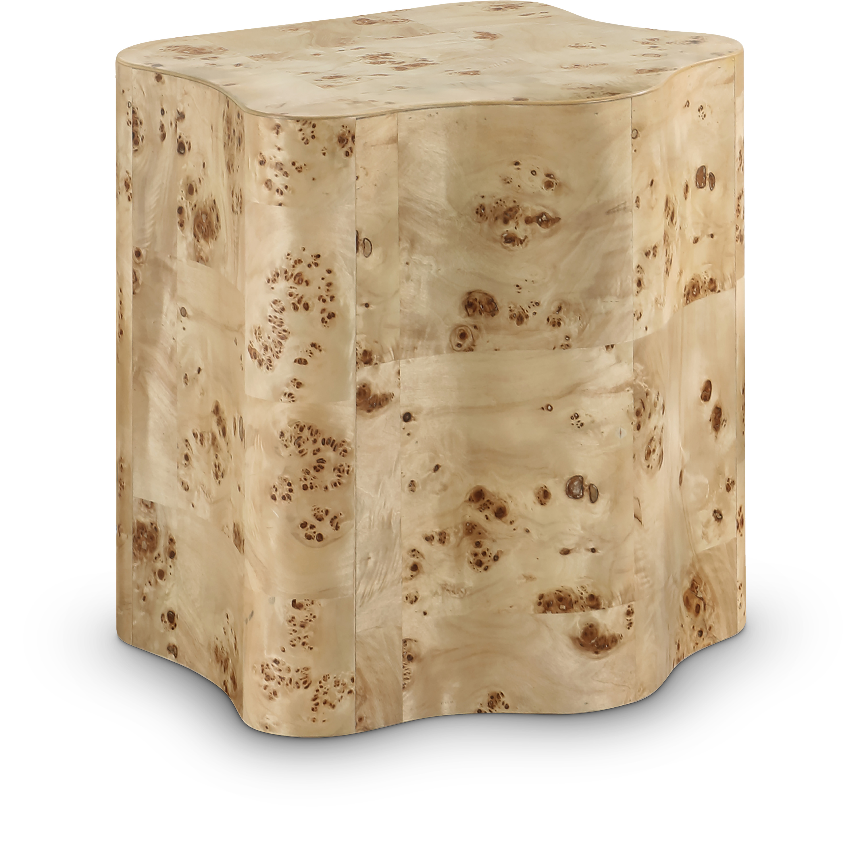 Meridian Furniture Zaire Natural Burl Wood End Table