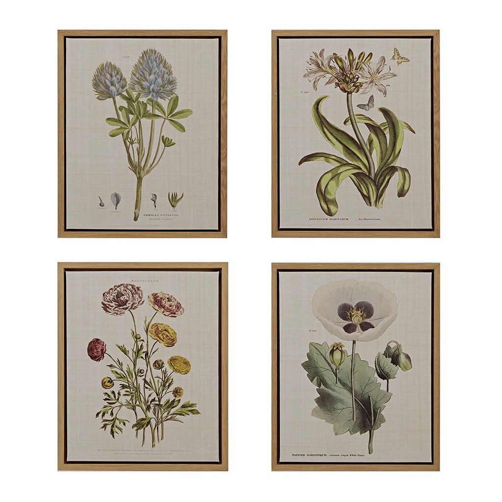 Olliix Martha Stewart Herbal Botany Green 4pc Botanical Illustration Framed...